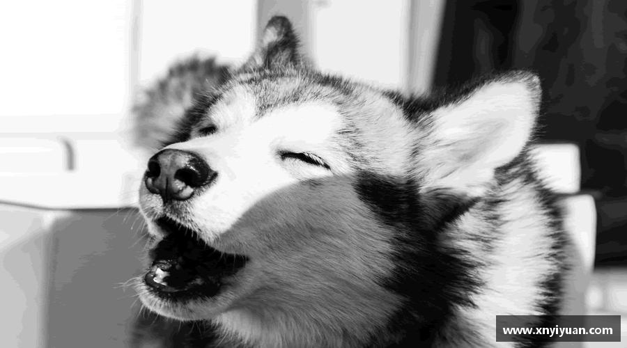 必一运动平台激情激发，力量无限